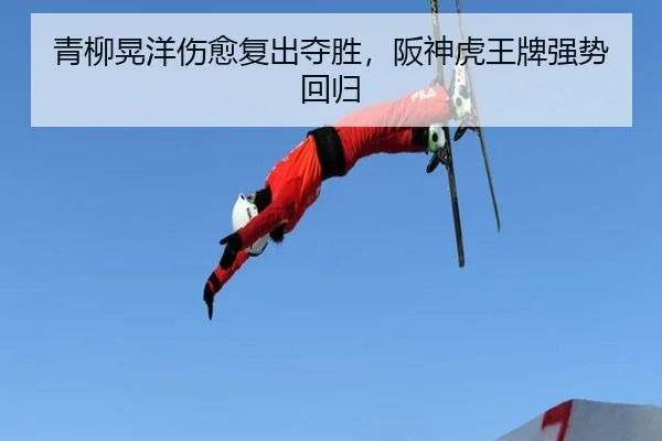 青柳晃洋伤愈复出夺胜，阪神虎王牌强势回归