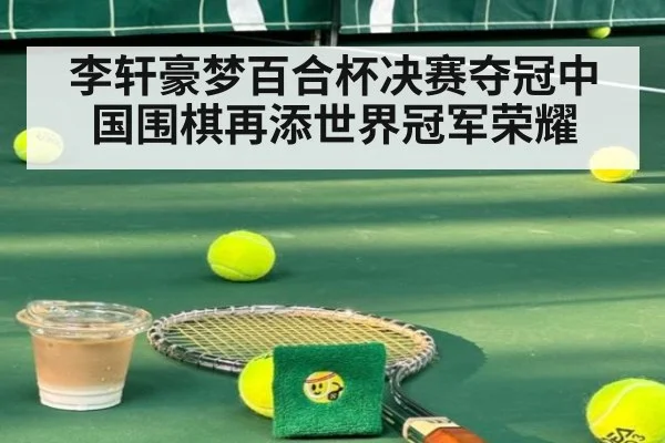 李轩豪梦百合杯决赛夺冠中国围棋再添世界冠军荣耀